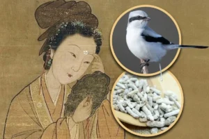 tu-bi-quyet-tu-hi-den-sua-rua-mat-cho-da-dau-mun-cham-soc-da-hieu-qua